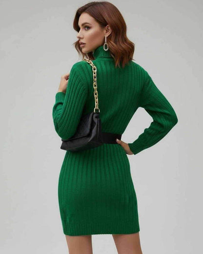 Back view of a model wearing the Verona Mini Dress by Lauven, a green ribbed long sleeve turtleneck mini dress.
