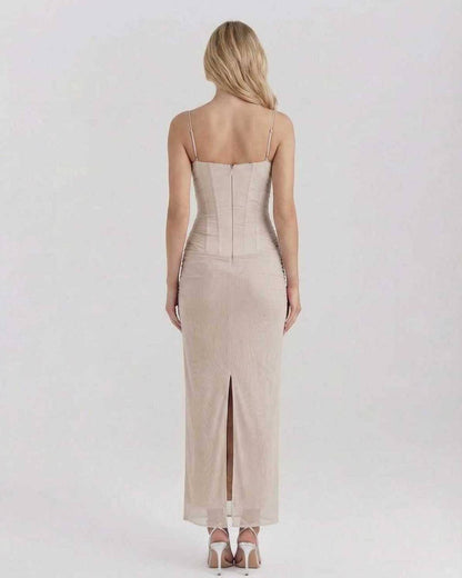 Aurelia Maxi Dress - Beige mesh dress with lace detail, slim fit silhouette, and soft draped neckline.