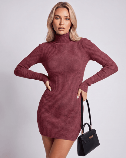 Veloura Mini Dress