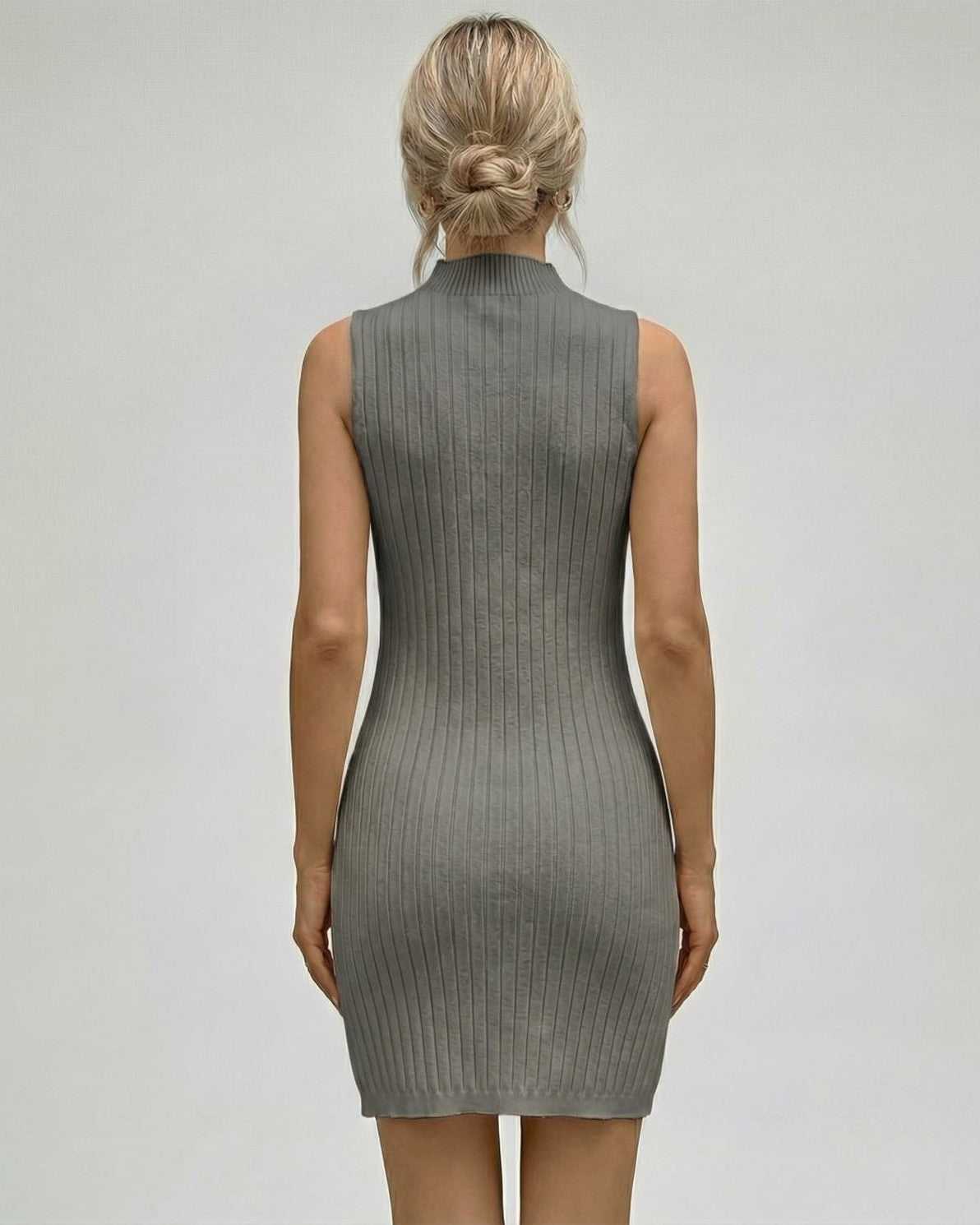 Slateva Mini Dress by Lauven, showcasing a ribbed sleeveless turtleneck design from the back, highlighting its elegant silhouette.