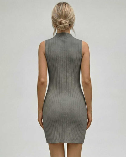 Slateva Mini Dress by Lauven, showcasing a ribbed sleeveless turtleneck design from the back, highlighting its elegant silhouette.